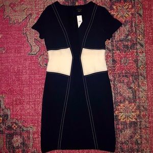 NWT Ann Taylor Dress